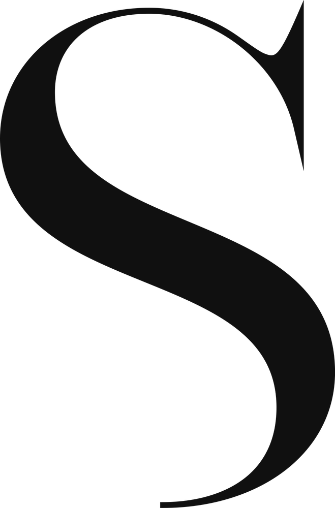 Custom-drawn Basi 'S' letterform: full glyph showing the redrawn proportions and terminals.